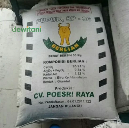 Manfaat Pupuk SP 36 Untuk Kelapa Sawit