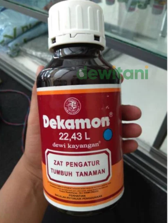 Manfaat dan Dosis Zat Pengatur Tumbuh DEKAMON 22,43 L